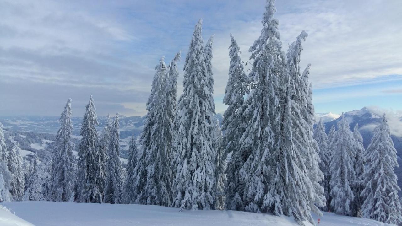 Ferienhaus Berghalde Schwarzenberg im Bregenzerwald Kültér fotó